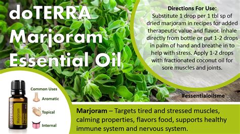 doTERRA Marjoram Essential Oil Uses