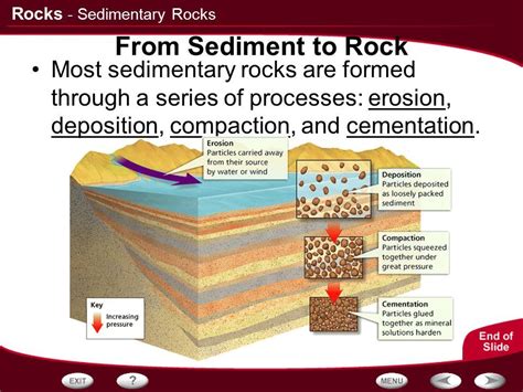 Sedimentary Rock Classification Chart