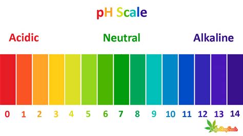 Printable Ph Scale