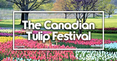 Canadian Tulip Festival 2024 - Marni Sharron