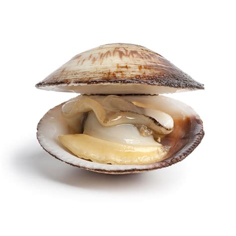 Clams Nutrition Facts: Build Muscle and Look Younger - Good Whole Food