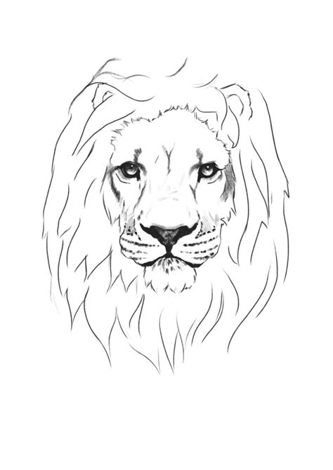 Lion Drawing Face