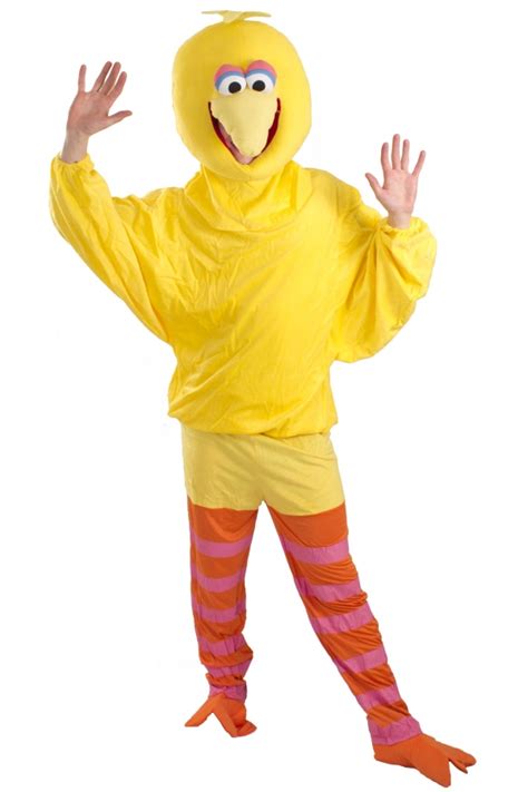 Big Bird Costumes (for Men, Women, Kids) | PartiesCostume.com