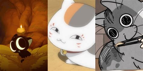 11 Cutest Anime Cats