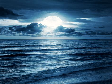 🔥 [40+] Beach Moon Wallpapers | WallpaperSafari