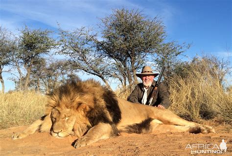 Lion Hunting South Africa | AfricaHunting.com