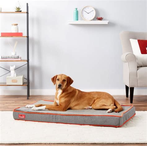 Memory Foam Dog Beds | The 10 Comfiest Memory Foam Dog Beds