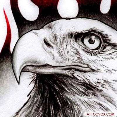 Flamming Eagle head tattoo design - TattooVox Professional Tattoo Designs Online