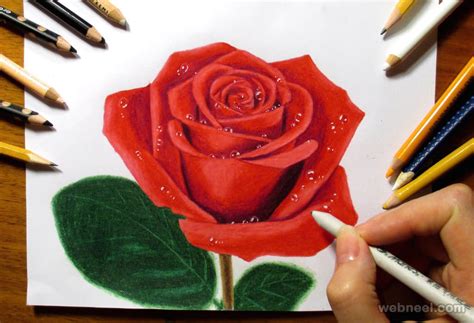 FREE 10+ Rose Drawings in AI