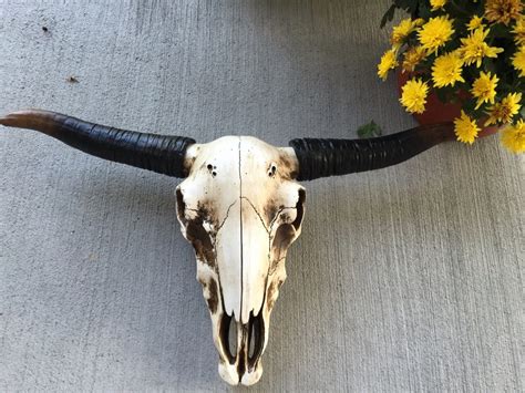 Cow Skull/ Cow Head/ Western Decor/ Home Decor/ Home and