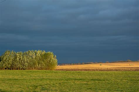 Fall Harvest in the Late Day Sun | Carl Wycoff | Flickr