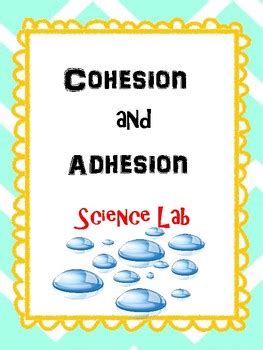 Cohesion and Adhesion by Teach and Inspire by Sahar | TPT