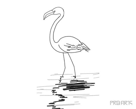 Flamingo Drawing - How to Draw a Flamingo - PRB ARTS