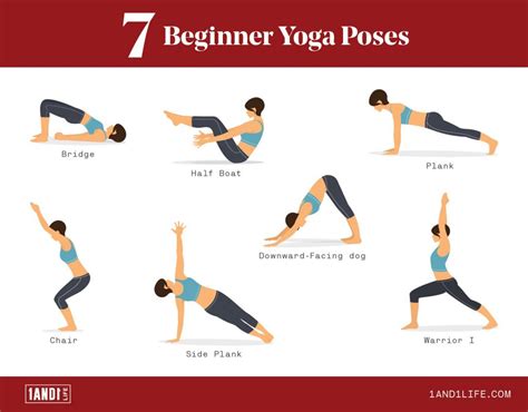 Vinyasa Yoga Flow For Beginners | Blog Dandk