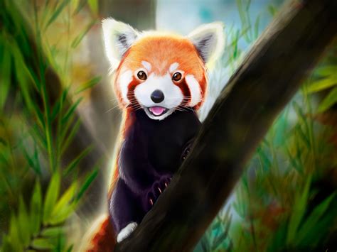 Red Panda Anime Art 2019 Featured Desktop Preview | 10wallpaper.com