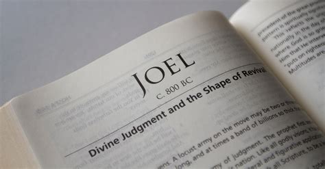 Joel - Bible Book Chapters and Summary - New International Version