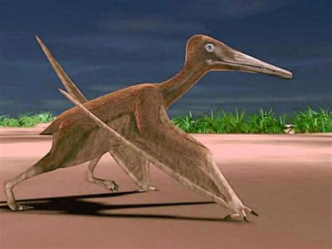 Fossils of Pterosaur, flying Texas reptile, unearthed by SMU researchers