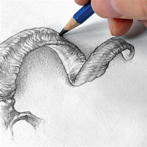 Pencil Shading Tips: Techniques for Creating Realistic Effects