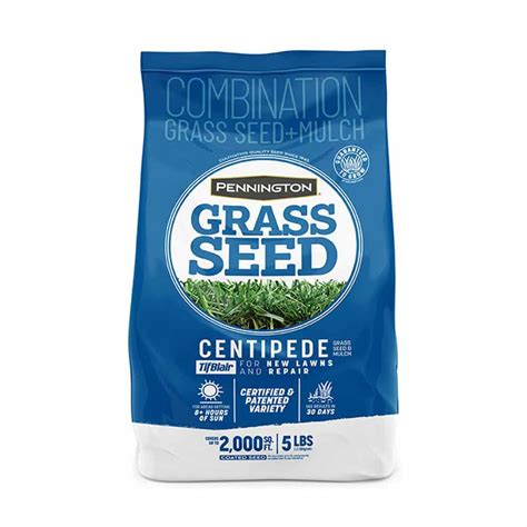 10 Best Centipede Grass Seed In 2023 - The Wrench Finder