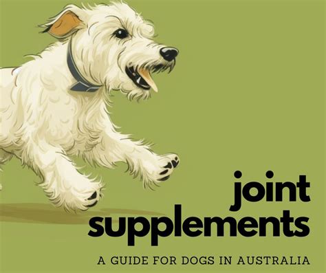 Improving Your Dog's Mobility: The Best Joint Supplements For Dogs in ...