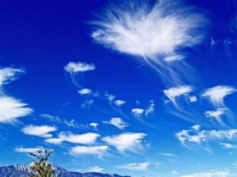 CRAZY CLOUDS: Jellyfish in the Sky! - WDRB Weather Blog