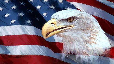 🔥 [110+] American Flag with Eagle Wallpapers | WallpaperSafari