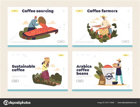 Farming coffee production stages concept of template landing pages with farmers harvesting ...