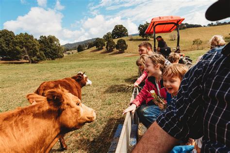 Hosanna Farmstay - farm animals and camping | Discover Ballina