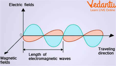 Types of Electromagnetic Waves - Learn Definition, Examples, Facts, Use ...