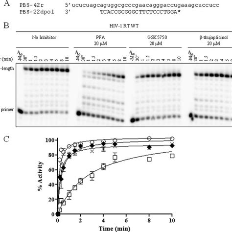 Inhibition of RNase H activity of HIV-1 RT and E. coli RNase H by... | Download Scientific Diagram