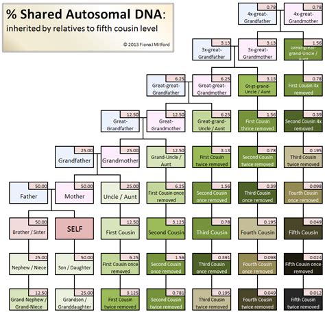 Fiona Mitford on Twitter | Dna genealogy, Genealogy resources, Family genealogy