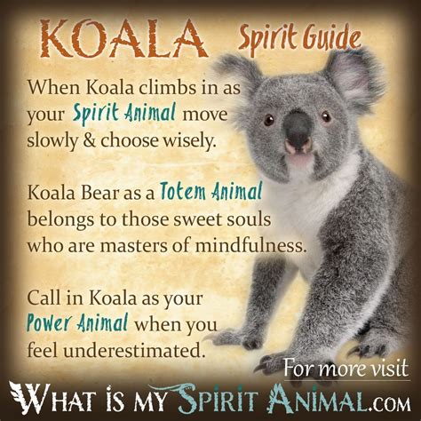 Koala Bear Spirit Totem and Power Animal Symbolism & Meaning - What Is My Spirit Animal | Spirit ...