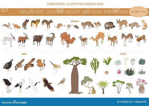 Desert Biome, Xeric Shrubland Biome, Natural Region Infographic. Terrestrial Ecosystem World Map ...