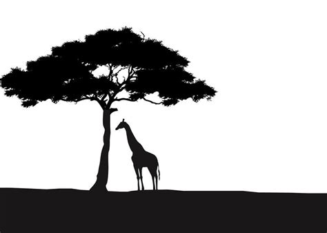 African Giraffe and Acacia Tree Silhouette Wall Art ... | Tree silhouette, Acacia tree ...