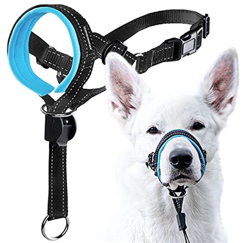 10 Best Dog Head Collar – Review And Buying Guide – PDHRE