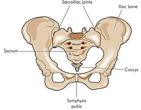 Coccydynia Treatment - Physiotherapy Victoria BC