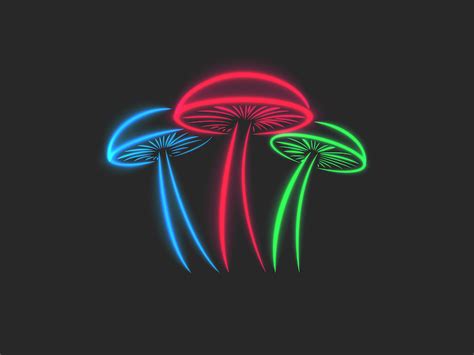 Mushrooms neon illustration by Sergii Syzonenko on Dribbble