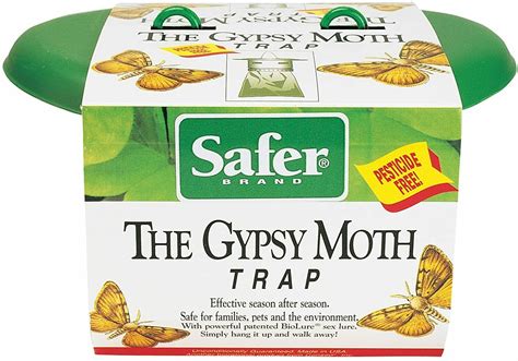 Gypsy Moth Trap