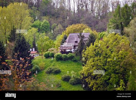 Straw roof cottage in the nature Stock Photo - Alamy