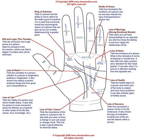 Palm reading basics | Good information | Pinterest | Palmistry reading, Palm reading, Palmistry