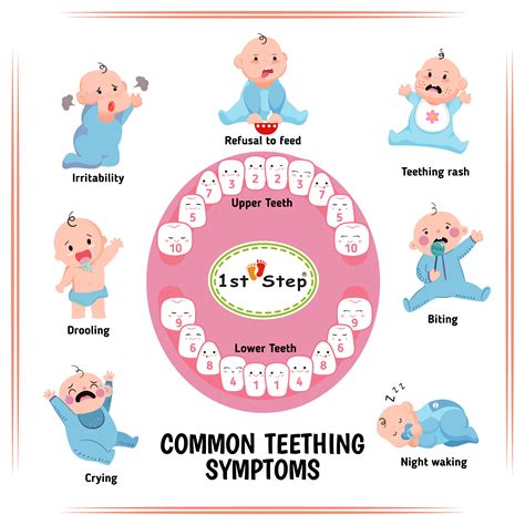 How do you know if your baby is teething? What symptoms should you look out for? | Teething rash ...