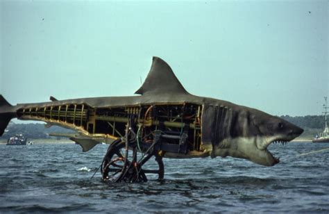 50 Behind the Scenes pics for Jaws’ 40th Anniverssary | Shark, Jaws movie, Scenes