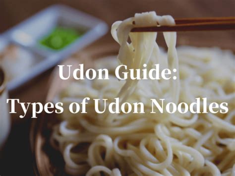 Udon Guide: Types of Udon Noodles - Japan Web Magazine