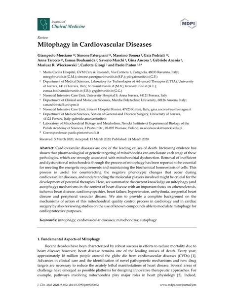 (PDF) Mitophagy in Cardiovascular Diseases