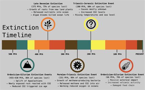 Infographic : Timeline of All Five Major Extinctions - Infographic.tv - Number one infographics ...