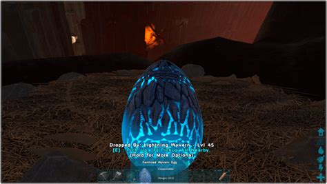 How To Hatch Lightning Wyvern Egg Ragnarok | Americanwarmoms.org