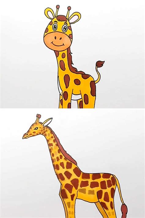 Realistic Giraffe Drawing Step By Step