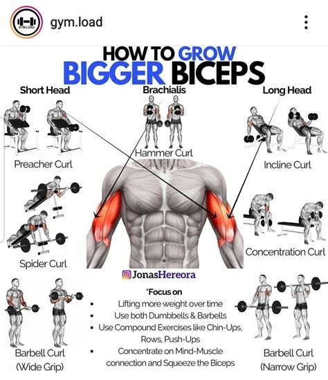 How to Build Biceps: Tips and Exercises for Bigger and Stronger Arms