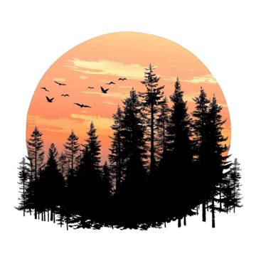 Nature Landscape Silhouette Sundown In Forest, Nature, Landscape ...