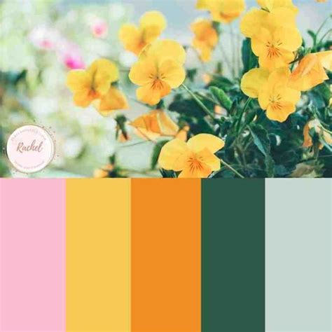 #colorpalettes #flowercolorpalettes #colorscheme #roomcolorschemes # ...